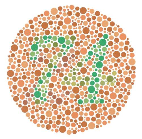 Ishihara test plate to test for colour vision deficiency