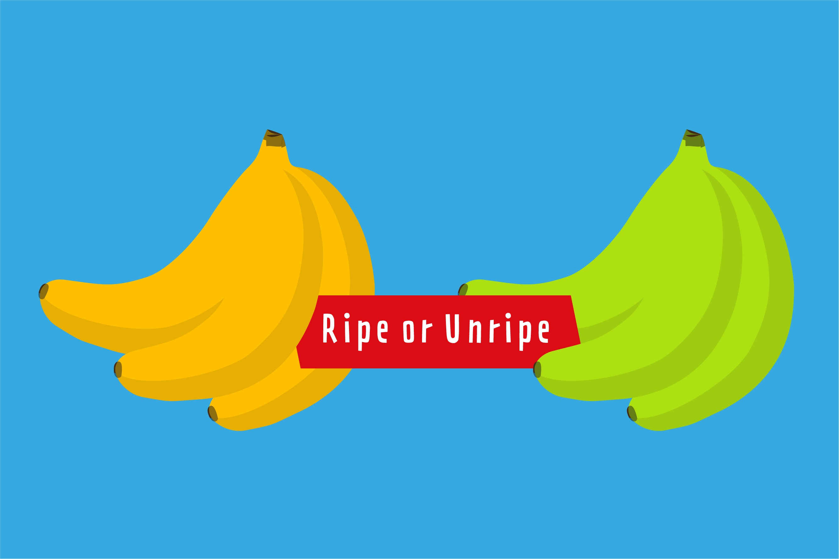 One bunch of yellow ripe banana's and one bunch of green unripe banana's.