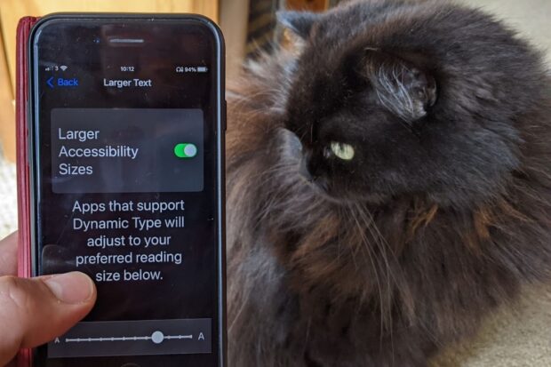 The Larger Accessibility Sizes setting on an iPhone, being held next to a fluffy black cat looking towards the phone.